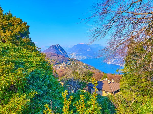 Lush Green Botanical Garden Parco San Grato View Monte San — Stockfoto