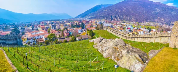 Ortaçağ Castelgrande kalesinin yamacındaki üzüm bağları manzarası, Bellinzona, İsviçre