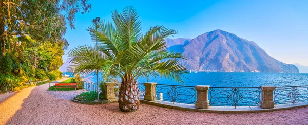 Panoramic View Villa Heleneum Park Outstanding View Mountains Shore Lugano — Zdjęcie stockowe