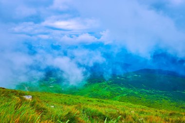 Alçak uçan bulutlar Hoverla Dağı, Chornohora Sıradağları, Karpatlar, Ukrayna 'nın yeşil tepesini sarar.
