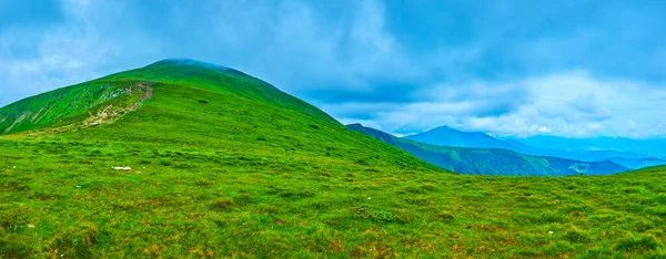 Mount Hoverlyana Observes Panorama Mount Hoverla Green Slope Low Clouds — Fotografia de Stock