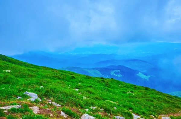 Chornohora Dağı 'nın yamaçları ve zirveleri beyaz bulutlar ve sisle kaplı Hoverla Dağı, Karpatlar, Ukrayna