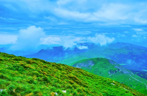 Stok Góry Hoverla Trawami Alpejskiej Tundry Widokiem Puszyste Niskie Chmury — Zdjęcie stockowe