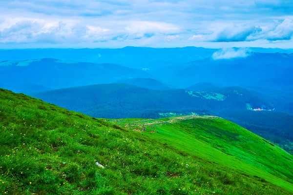 Green Peak Mount Hoverlyana Narrow Paths Hikers Carpathian Scenery Top — Stock Photo, Image