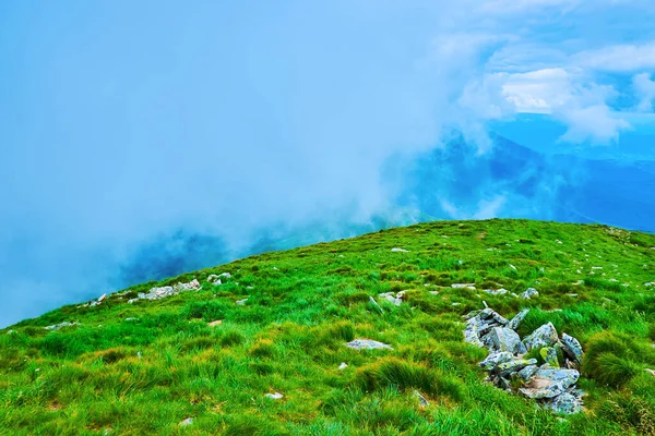 Düşük Tüylü Bulutlar Sis Hoverla Dağı Chornohora Sıradağları Karpatlar Ukrayna — Stok fotoğraf