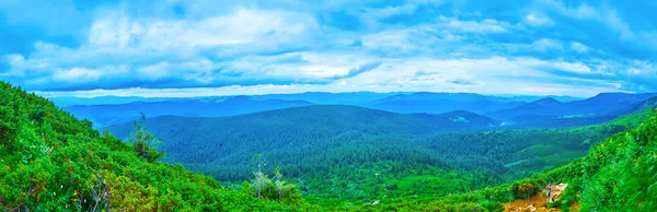 Panorama Carpathian Landscape Green Mountains Covered Spruce Forests Juniper Shrubs — Zdjęcie stockowe