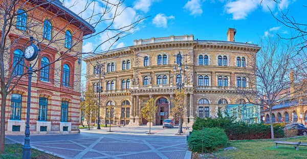Πανόραμα Της Ιστορικής Corvinus Πανεπιστήμιο Κτίριο Και Πεζών Fovam Square — Φωτογραφία Αρχείου