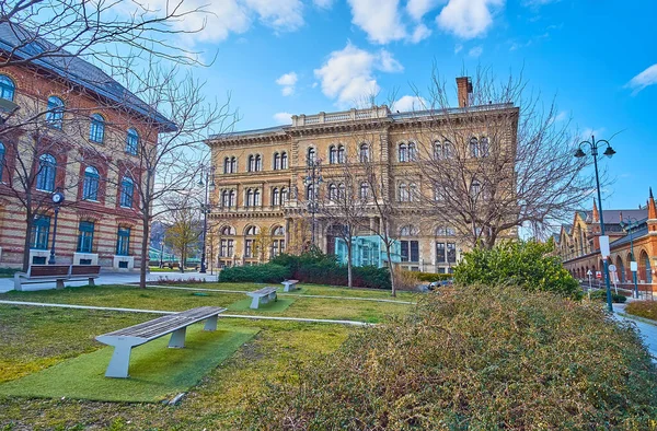 Macaristan 'ın Budapeşte kentindeki Fovam Meydanı' ndaki Corvinus Üniversitesi 'nin iki binasının önündeki manzaralı yeşil park.