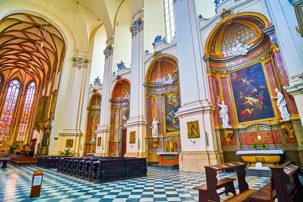 Brno Repubblica Ceca Marzo 2022 Visita Dell Eccezionale Cattedrale Dei — Foto Stock