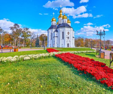 Aziz Catherine Kilisesi, Chernihiv, Ukrayna 'nın önündeki manzaralı kasımpatı çiçekleri ve yeşil çimenler.