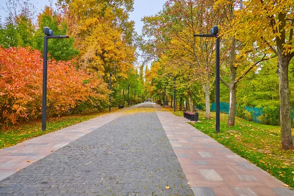 Callejón Peatonal Babyn Yar Holocaust Memorial Park Llama Camino Del — Foto de Stock