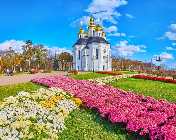 カラフルな花壇 緑の芝生 ベンチ 歩行者専用路地 聖カタリナ教会 チェルニヒフ ウクライナの景色を望む美しい秋の公園をお楽しみください — ストック写真