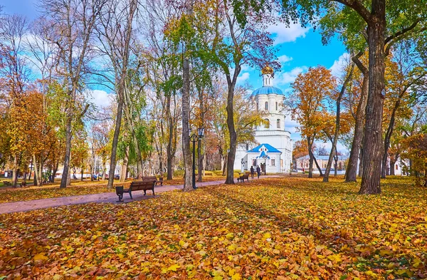 Наслаждайтесь Золотым Осенним Сезоном Старом Парке Черниговской Цитадели Видом Ковер — стоковое фото