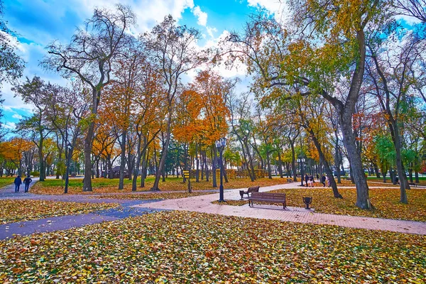 Upadły Żółty Liście Ziemi Pięknej Jesieni Czernihów Dytynets Park Czernihów — Zdjęcie stockowe