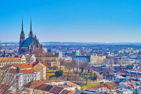 Beautiful Cityscape Brno Monumental Cathedral Saints Peter Paul Dominating Horizon — Stock Photo, Image