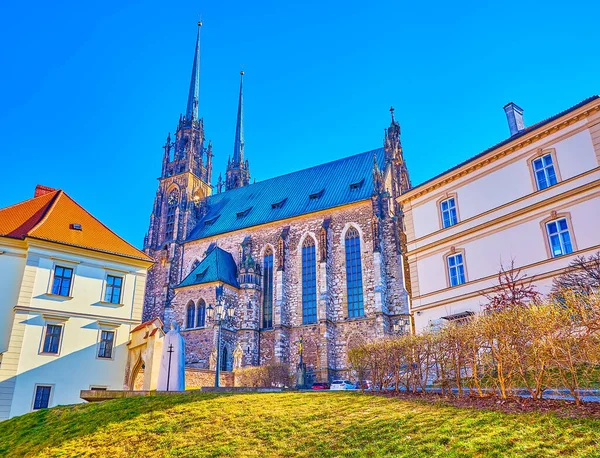 Szent Péter Pál Katedrális Brno Szívében Csehországban — Stock Fotó