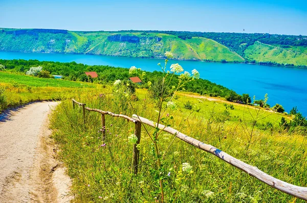 Путь Среди Луговых Цветов Заливу Бакота Днестра Украина — стоковое фото