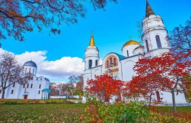 Parlak kırmızı sonbahar staghorn sumac ağaçları ve dönüşüm katedralinin önünde yaprakları dökülen yeşil çimenler ve Borys ve Hlib Katedrali, Chernihiv, Ukrayna