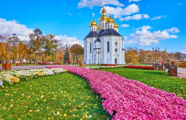 Tarihi St. Catherine Kilisesi, Chernihiv, Ukrayna 'nın önündeki parlak pembe, sarı ve kırmızı kasımpatı çiçekleri.