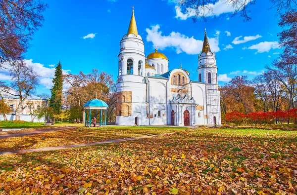 Chernigov Dytynets (Chernigov Kalesi) Parkı, Chernihiv, Ukrayna