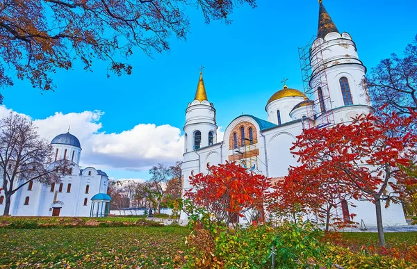 Parlak kırmızı sonbahar staghorn sumac ağaçları ve dönüşüm katedralinin önünde yaprakları dökülen yeşil çimenler ve Borys ve Hlib Katedrali, Chernihiv, Ukrayna