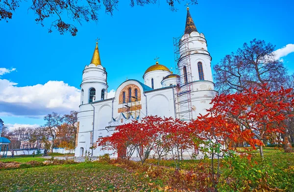 Şekil Değiştirme Katedrali, Antik Çerniv Rezervi, Chernihiv, Ukrayna 'nın önündeki sonbahar parkının parlak kırmızı, sarı ve yeşil renkleri