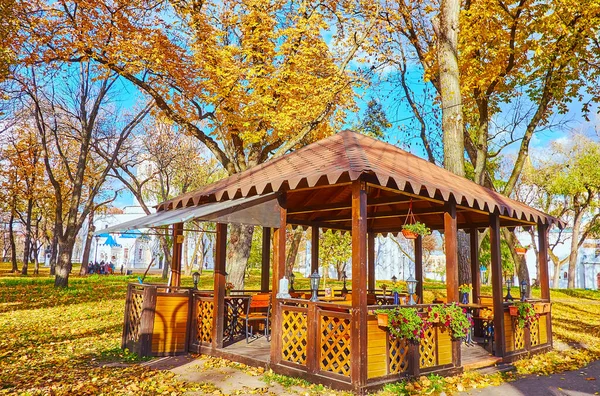 Ξύλινο Εξοχικό Σπίτι Στο Chernihiv Dytynets Park Chernihiv — Φωτογραφία Αρχείου