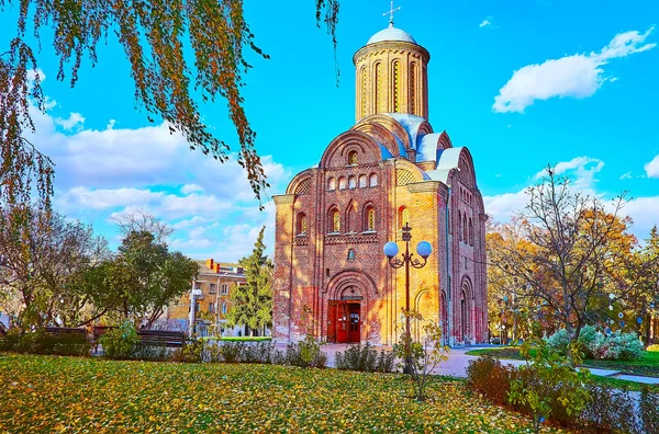 St. Paraskeva (Pyatnytska) Kilisesi, Chernihiv, Ukrayna önünde sarı huş yapraklarıyla kaplı yeşil çimen