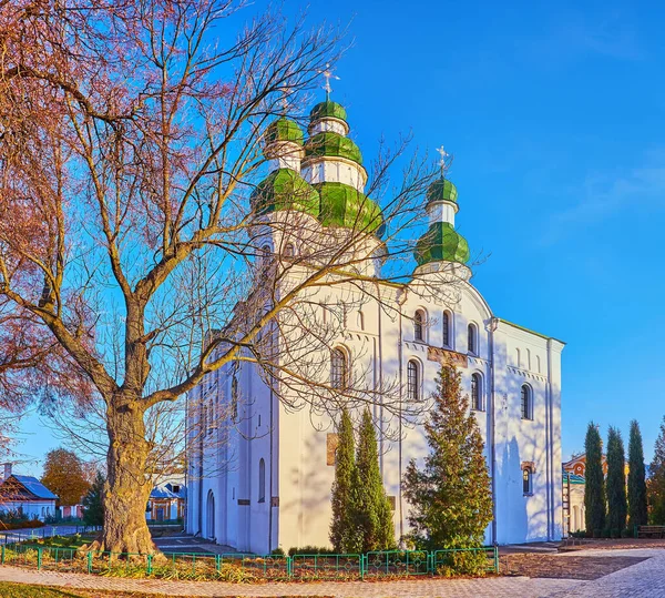 Historic Assumption Cathedral Surrounded Trees Park Yeletsky Assumption Monastery Chernihiv — Stock Photo, Image