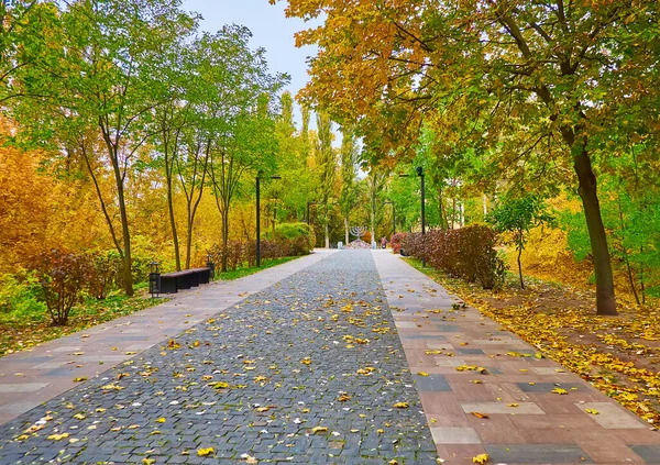 Scenic Autumn Holocaust Memorial Park Kyiv View Road Sorrow Menorah — Foto de Stock