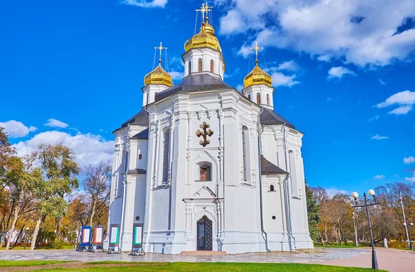 Elegante Facciata Della Storica Chiesa Cosacca Santa Caterina Costruita Stile — Foto Stock