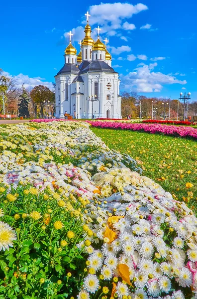 Beautiul Autumn Park Chrysanthemum Flower Beds Yellow Leaves Green Lawn — ストック写真