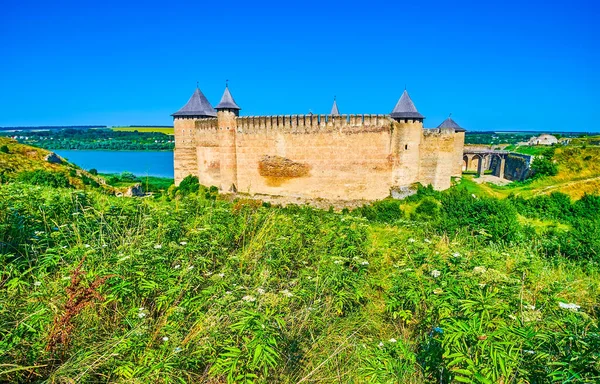 Wildflowers Grasses Swaying Wind Front Medieval Khotyn Fortress Located Bank — Stockfoto