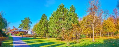 Çamlar, meşeler, söğütler ve sulu yeşil çimlerle dolu güzel sonbahar parkı manzarası, Mezhyhirya, Ukrayna