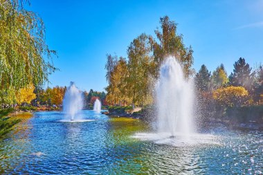 The scenic autumn park with fountains on the lake and colored birches and pine trees, reflecting on water surface, Mezhyhirya, Ukraine