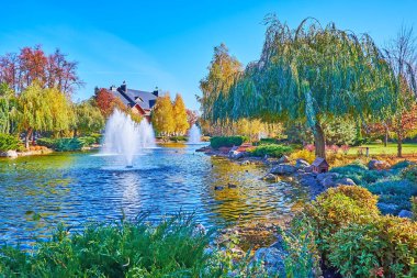 Idyllic autumn park with lush willows, yellow birches, red oaks, thickets of juniper and lake with fountains, Mezhyhirya, Ukraine