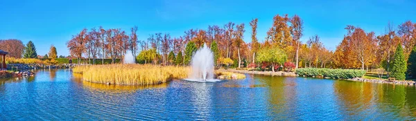 美丽的秋天公园全景 有红色 黄色和绿色的植物 番红花 松树和有喷泉的明亮蓝湖 乌克兰梅兹海亚 — 图库照片