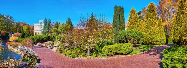 Scenic Green Park Different Conifer Plants Thuja Trees Juniper Shrubs — Stock fotografie