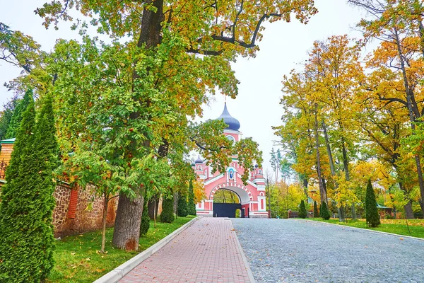 Scenic Autumn Park Oaks Conifer Trees Historic Gate Panteleimon Monastery — Foto Stock