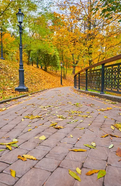Curved Old Alley Scenic Autumn Volodymyr Hill Park Decorated Vintage — Zdjęcie stockowe
