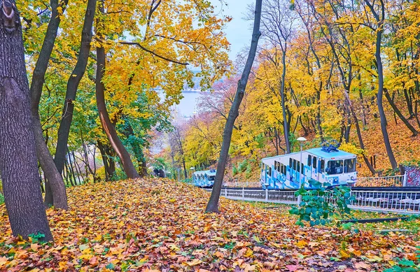 Живописный Осенний Парк Холма Святого Владимира Ярко Желтыми Красными Деревьями — стоковое фото