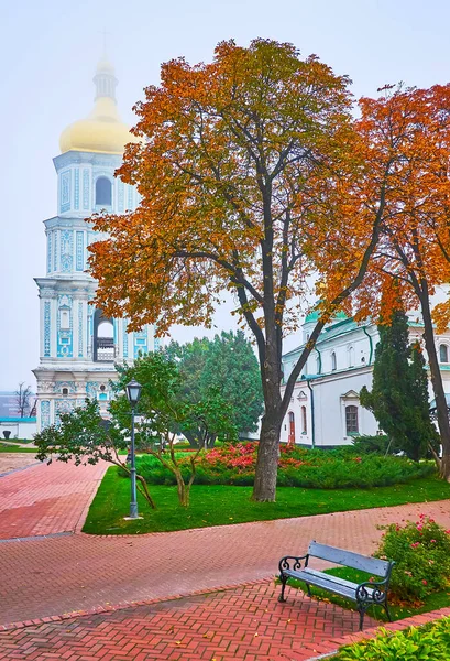 Enjoy Foggy Autumn Day Park View Tall Red Horse Chestnut — Fotografia de Stock