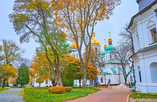 Medieval Golden Domes Sophia Cathedral Bright Yellow Autumn Park Kyiv — Stock Photo, Image
