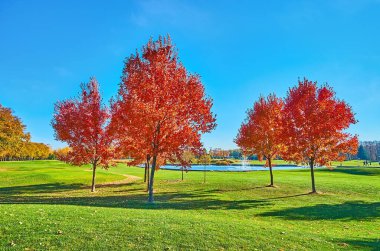 Golf sahasındaki sulu yeşil çimenler yemyeşil akçaağaçlar ve arka planda çeşme olan küçük bir gölet, Mezhyhirya, Ukrayna