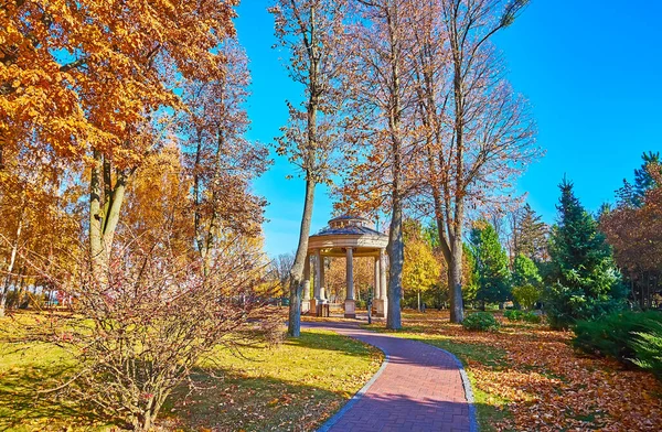 The small gazebo in park behind the tall trees with yellow-brown dry autumn foliage, Mezhyhirya, Ukraine