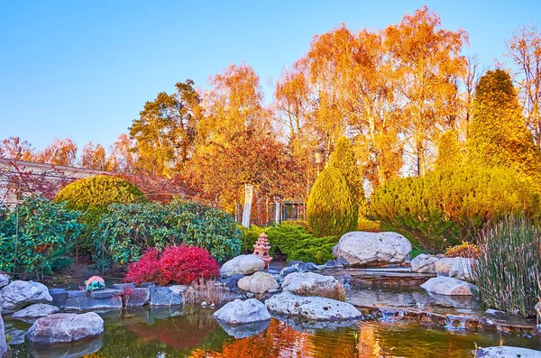 Ornamental Autumn Park Colored Bushes Trees Tiny Pond Foreground Mezhyhirya —  Fotos de Stock