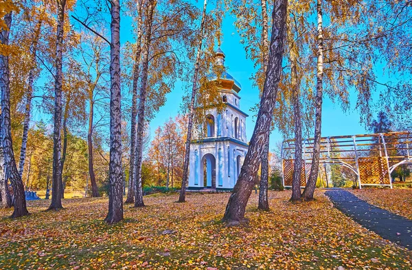 Belfry Historic Mezhyhirya Savior Transfiguration Monastery Autumn Birch Grove Ukraine — стоковое фото