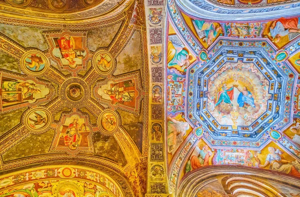 Pavia Italy April 2022 Vault Colorful Frescoes San Michele Maggiore — Stockfoto