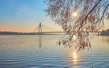 The silhouettes of dry reeds on Dnieper River and Pivnichnyi (Northern) Bridge on sunrise, Kyiv, Ukraine
