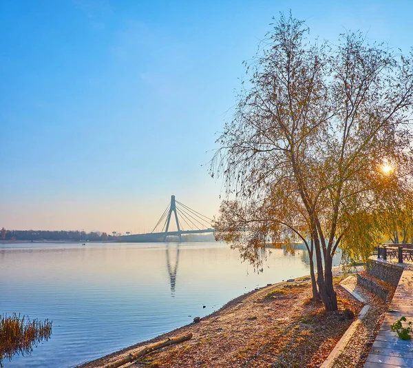 Picturesque Dnieper River Sunny Foggy Autumn Sunrise View Spread Willow —  Fotos de Stock